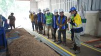 Kembangkan Biomassa dari Kaliandra Merah, PTBA Bangun Pilot Plant Wood Pellet